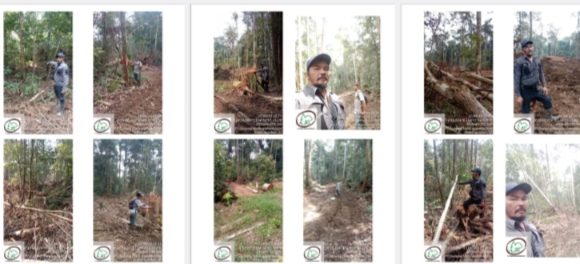 PT.Cakra Sejati Sempurna (PT. CSS) Kalteng Diduga Menjarah Hutan dan Kejahatan Illegal Logging